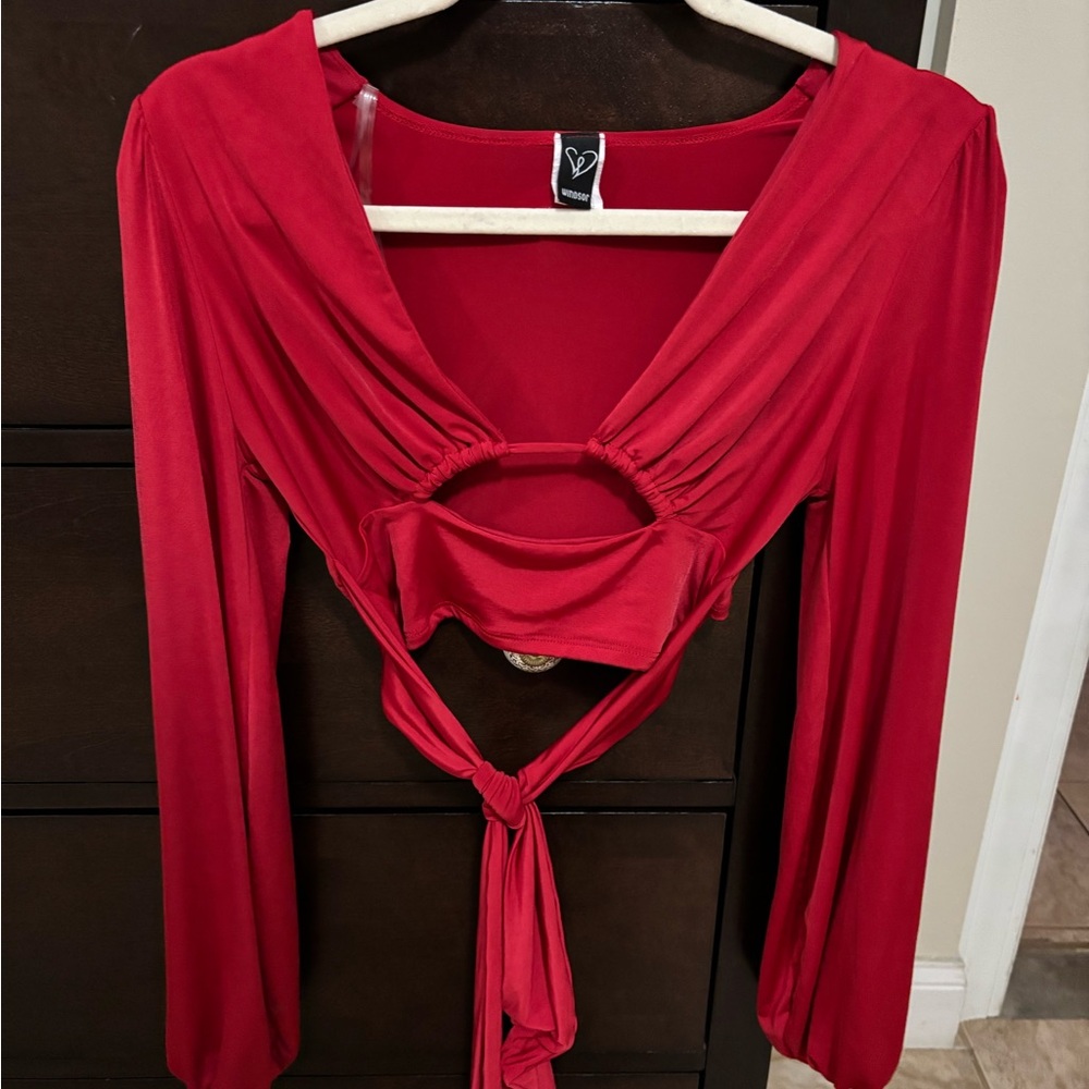 Windsor Red Long Sleeve Ruched Crop Top
